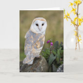 メンフクロウおよびFoxglove カード (黄色い花)