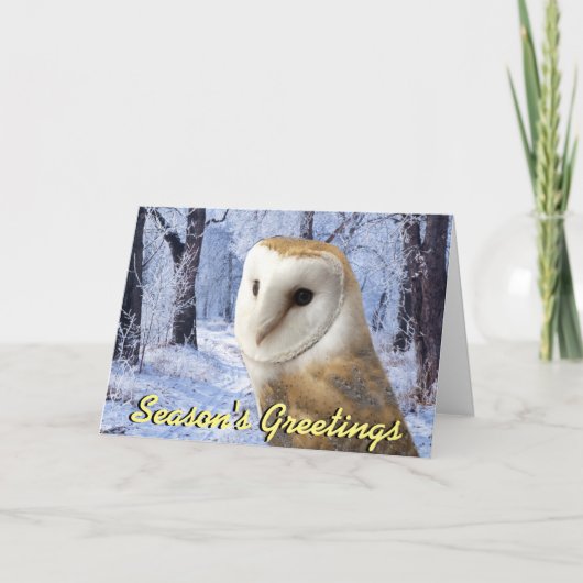 メンフクロウのクリスマスカード シーズンカード (正面)
