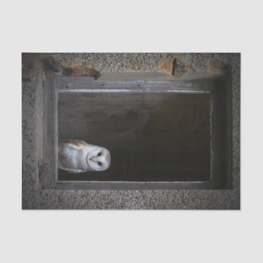 メンフクロウのティッシュペーパー 薄葉紙 (正面)