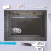 メンフクロウのティッシュペーパー 薄葉紙 (クラフト)