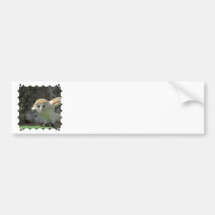 メンフクロウのバンパーステッカー バンパーステッカー