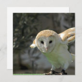 メンフクロウの招待状 招待状 (正面/裏面)