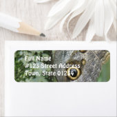 メンフクロウの蝶郵送物のラベル ラベル (インサイチュ)