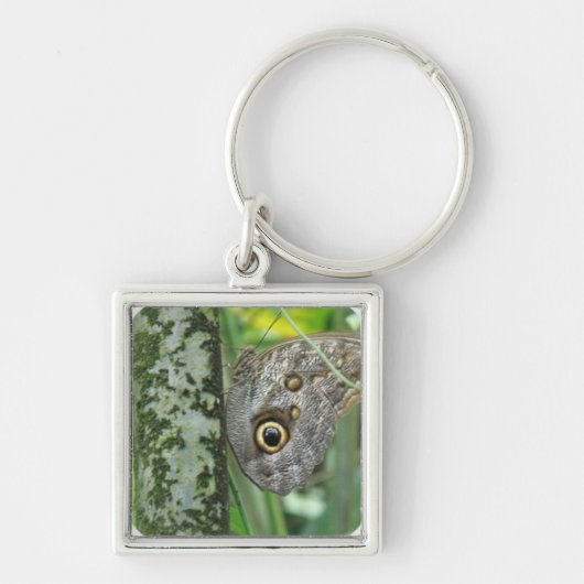メンフクロウの蝶Keychain キーホルダー (正面)