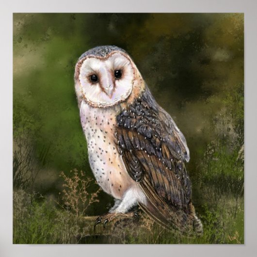 メンフクロウポスター絵画 ポスター (正面)