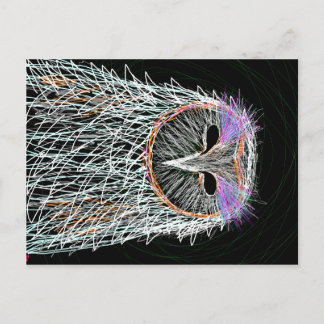 メンフクロウラインアート ポストカード