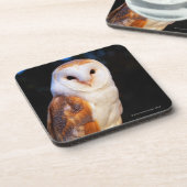 メンフクロウ2 コースター (左側)