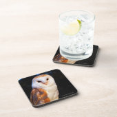 メンフクロウ2 コースター (右側)