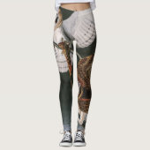 メンフクロウ、アメリカジョン・ジェームズ・オーデュボンの鳥 レギンス (正面)