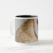 メンフクロウ(アルバTyto)のポートレート。 ツートーンマグカップ (正面左)