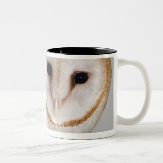メンフクロウ(アルバTyto)のポートレート。 ツートーンマグカップ (右)