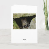 メンフクロウ カード (裏面)