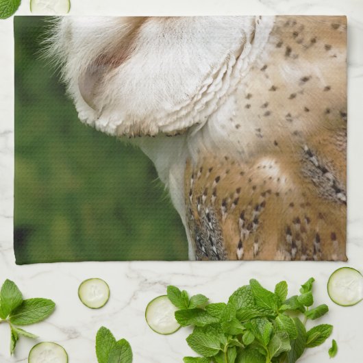 メンフクロウ キッチンタオル (折り畳み)