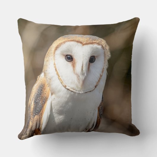 メンフクロウ クッション (裏面)