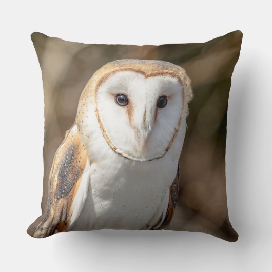 メンフクロウ クッション (正面)