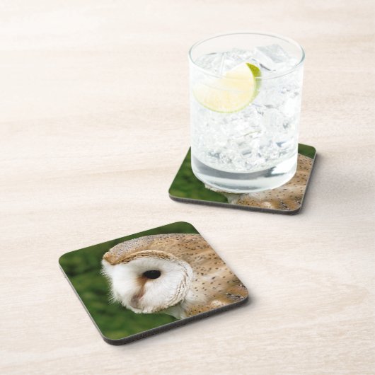 メンフクロウ コースター (右側)