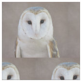 メンフクロウ ファブリック (クローズアップ)