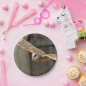 メンフクロウ ペーパープレート (パーティー)