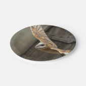 メンフクロウ ペーパープレート (アングル)