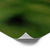 メンフクロウ ポスター (角)