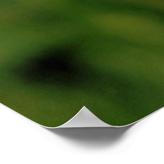 メンフクロウ ポスター (角)