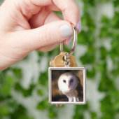 「メンフクロウ、湖、KY間の土地のクローズアップ キーホルダー (手)