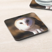 「メンフクロウ、湖、KY間の土地のクローズアップ コースター (左側)