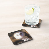 「メンフクロウ、湖、KY間の土地のクローズアップ コースター (右側)