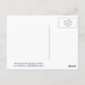 メヴァギセイコーンウォールイングランド ポストカード (裏面)