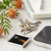 メヴェン宇宙船。 キーホルダー (側面)