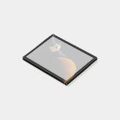 メヴェン宇宙船。 ポストイット (アングル)