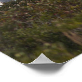 メーケープライトハウスポスター ポスター (角)