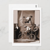 メーゴードンのオリジナル狂った動く台座 ポストカード (正面/裏面)