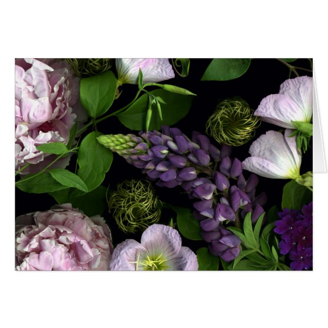 メーデーの紫色の開花 (正面横)
