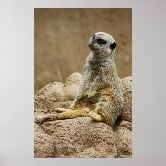 メートカットポスターク ポスター (正面)