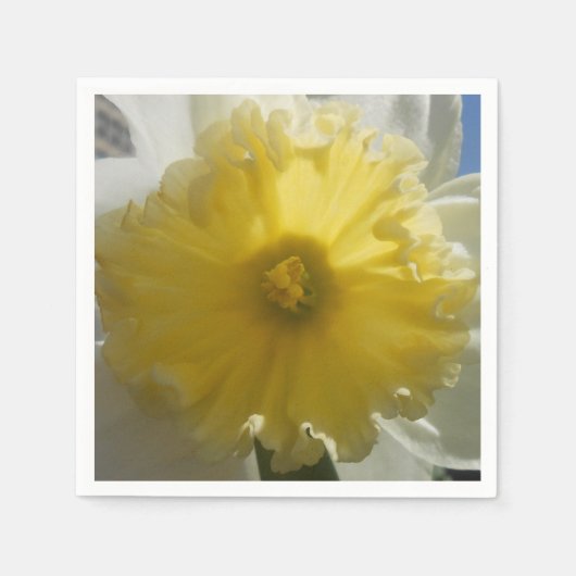 メーナド スタンダードカクテルナプキン (正面)