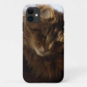 メーヌクーンキャットペットフォンケース iPhone 11 ケース