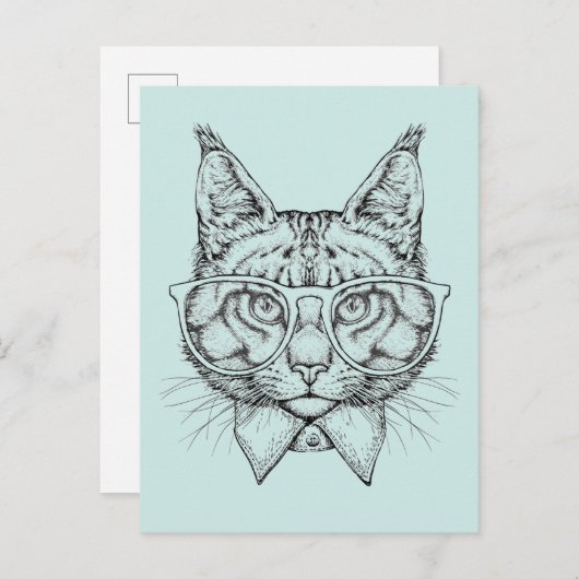 メーヌクーンポートレート ポストカード (正面/裏面)