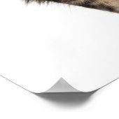 メーヌクーン(8カ月) 2 ポスター (角)