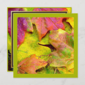 メープカラフルル葉/秋の結婚式招待状 招待状 (正面/裏面)