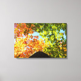 メープルカラフルツリートップ キャンバスプリント