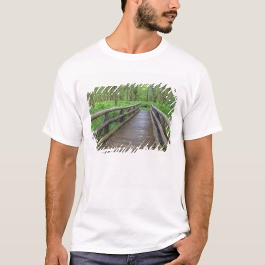 メープルグレード道木橋、シダ、 Tシャツ (正面)