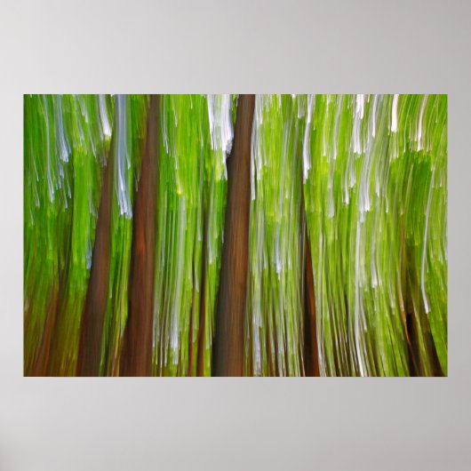 メープルグローブ抽象芸術 ポスター (正面)