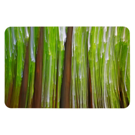 メープルグローブ抽象芸術 マグネット (横)