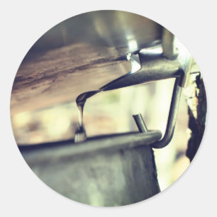 メープルシロップランニングサップ自然 ラウンドシール