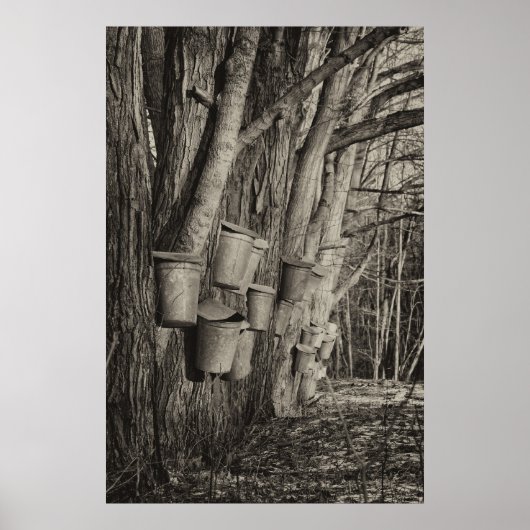 メープルシロップ時間 ポスター (正面)