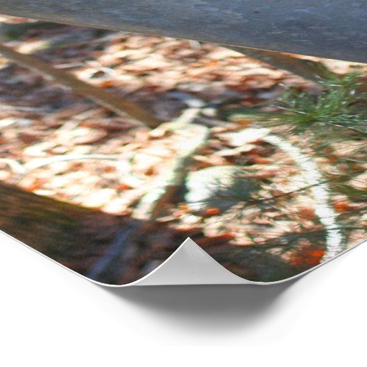 メープルシロップ砂糖樹液バケットツリー抽象芸術 ポスター (角)