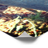 メープルシロップ砂糖樹液バケツ ポスター (角)