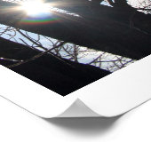 メープルスカイ ポスター (角)