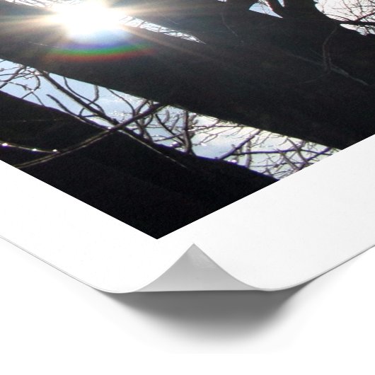 メープルスカイ ポスター (角)